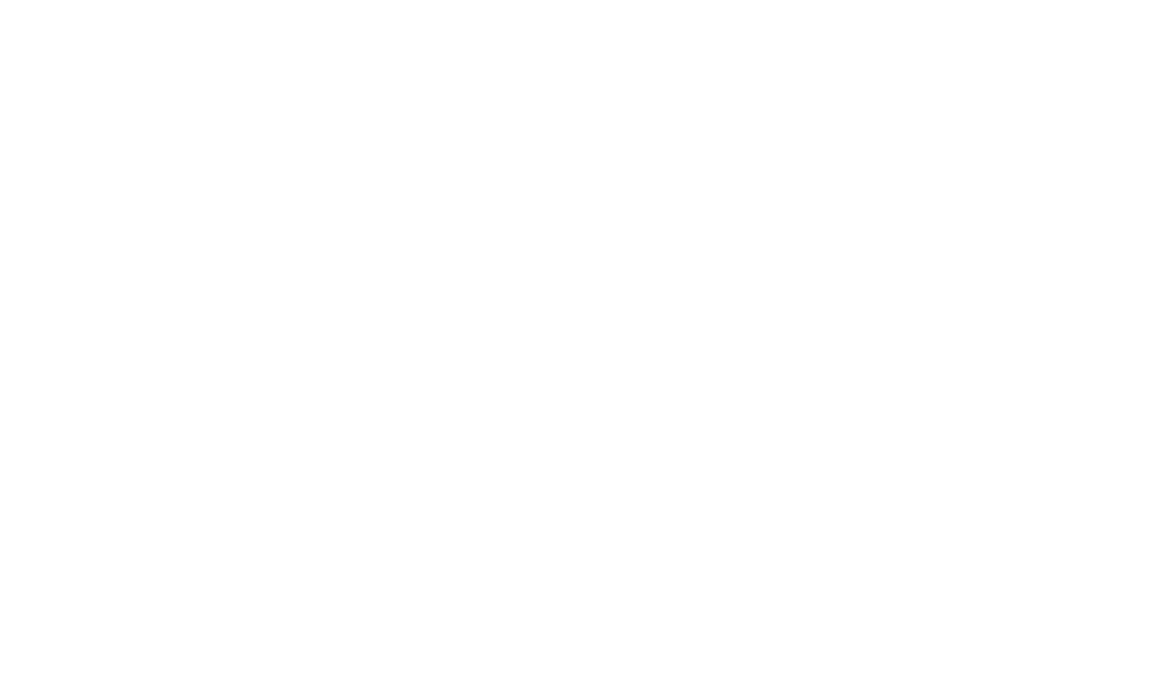 The Sleeka